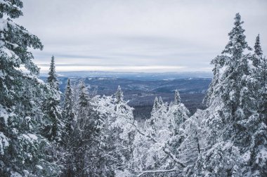 Kış orman, Urenga aralığı, Taganay, Chelyabinsk bölgesi doğal peyzaj