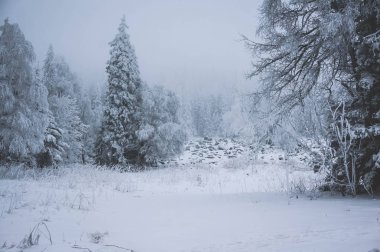 Kış orman, Urenga aralığı, Taganay, Chelyabinsk bölgesi doğal peyzaj