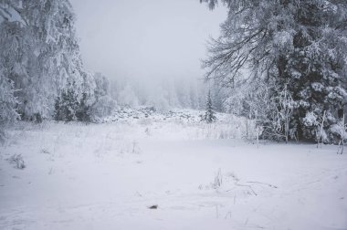 Kış orman, Urenga aralığı, Taganay, Chelyabinsk bölgesi doğal peyzaj