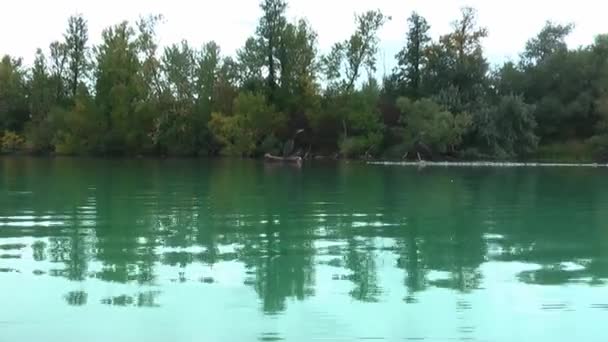 Cormoranes Una Pequeña Isla Grabación Cerca Superficie Del Agua — Vídeos de Stock