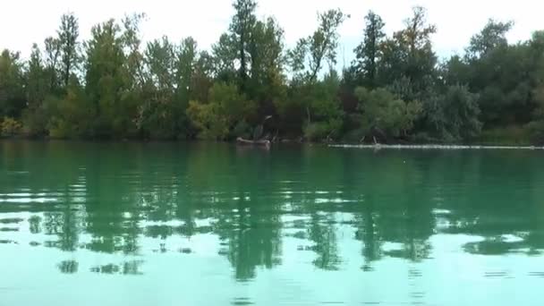 Cormorans Malém Ostrově Nahrávání Blízko Povrchu Vody — Stock video