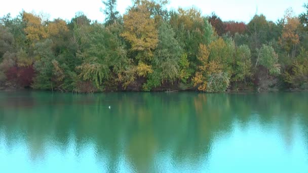 Hösten Vackra Träd Återspeglas Sjön Reflektion Skogen Vattnet — Stockvideo