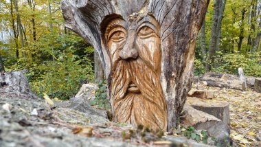 Yaşlı bir adam peri çehresini ağaçtan oyulmuş. Arka planda sarı ağaç ormandaki 