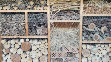 Incect evi. Böcekler için farklı malzemeler (saman, ahşap, koniler, tuğla) İnşaatı.