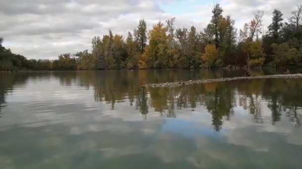 Des canards sauvages. Une petite île aux oiseaux. Nous approchons de l'île avec une caméra. Des canards volent dans les airs .