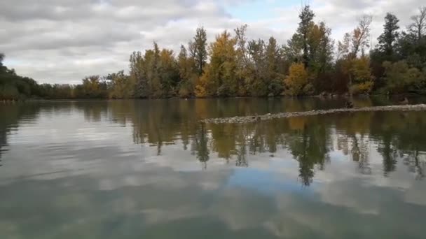 Дикі Качки Маленький Острів Птахами Наближаємося Острова Фотоапаратом Качки Летять — стокове відео