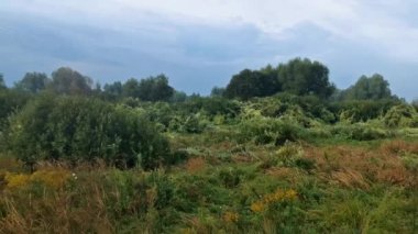  çim eniyim üzerinde bir insansız hava aracı. geç yaz sabahı