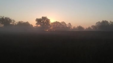 Drone sis hattı boyunca süzülür. yaz, gün doğumu 