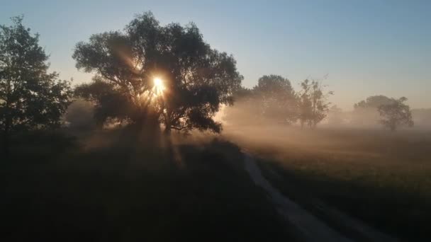 Sobrevolando Camino Mañana Niebla Sol Amanecer — Vídeos de Stock
