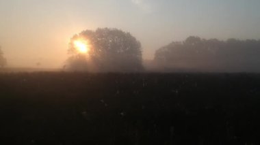 Yaz ılık şafak vakti. sisli sabah