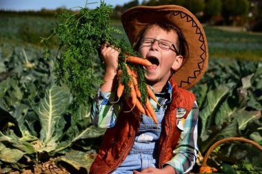 Çocuk, çocuk, sebzeler, havuç, kabak, lahana, marul, çocuk yiyor havuç, sebze bahçesi, hasat, sonbahar 