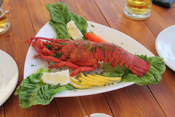 Cooked lobster on a serving plate with lemon and lettuce