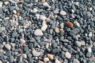 Çakıl, çeşitli şekil, boyut, renk ve dokular shingle Plajı Limasol, Kıbrıs için
