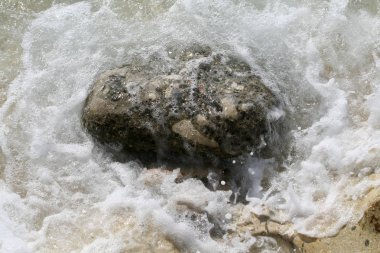 Beyaz deniz köpüğü shingle Plajı Limasol, Kıbrıs için büyük bir ıslak taş çevresinde