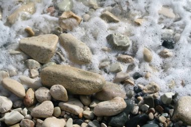 Beyaz deniz köpüğü, çeşitli şekil, boyut, renk ve dokular shingle Plajı Limasol, Kıbrıs için ıslak çakıl taşları üzerinde