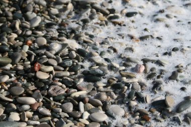 Çeşitli şekil, boyutları, renkler ve dokular üzerinde Petra tou Romiou beach Pafos, Kıbrıs için ıslak çakıl taşları üzerinde beyaz deniz köpüğü
