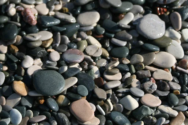 Pebbles Molhados Várias Formas Tamanhos Cores Texturas Praia Petra Tou — Fotografia de Stock
