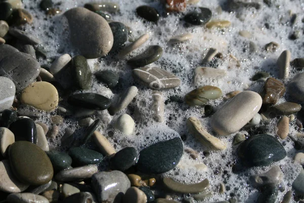 Witte Zee Schuim Natte Keien Van Verschillende Vormen Maten Kleuren — Stockfoto