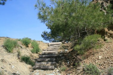 Çam ağacı ve mavi gökyüzü güneşli bahar gününde Kıbrıs Troodos Dağları'nda boş ahşap patika