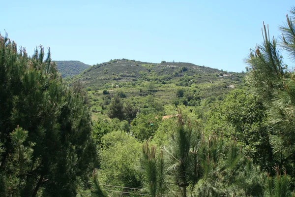 Vista Panoramica Dei Verdi Pendii Montani Una Soleggiata Giornata Primaverile — Foto Stock