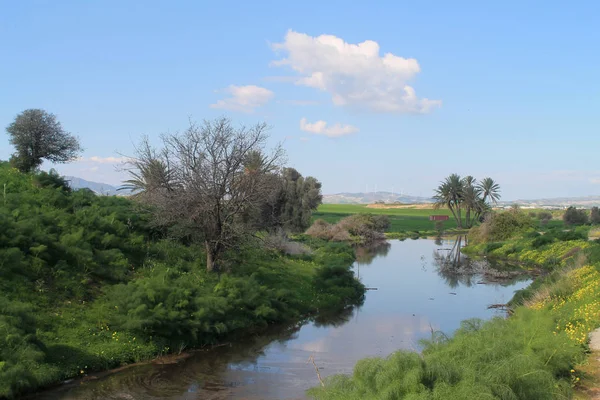 Piccolo Fiume Tranquillo Con Rive Verdi Cielo Blu Montagne Uno — Foto Stock