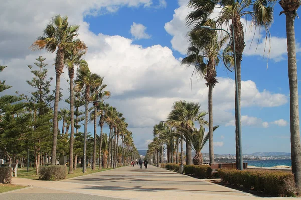 Limasol, Kıbrıs, 28 Şubat 2019: İnsanların yürüme Molos Gezinti görünümü