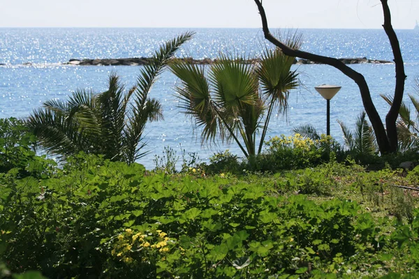 Leerer Öffentlicher Park Mit Meerblick Einem Sonnigen Frühlingstag — Stockfoto