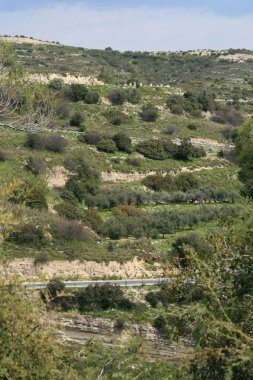 Troodos Dağları, Kıbrıs yeşil ağaçlar ve bir güzel bahar gününde boş bir dolambaçlı yol eğimi