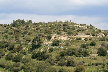 Kıbrıs ile yeşil ağaçlar ve bir güzel bahar gününde iki araba olan yol Troodos Dağları, eğimi