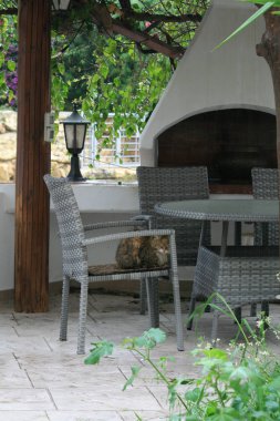 Islak tekir kedi yağmur sırasında bir Barbekü çardakta bir bahçe sandalyede oturan