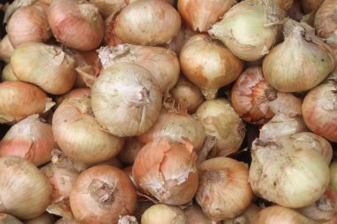 Kuru olgun sarı soğan ampuller bir yığını yakın çekim 