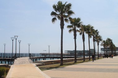 Limasol, Kıbrıs, 12 Nisan 2019: Güneşli bir günde, palmiye ağaçları ve Molos kordonu yürüyüş insanları ile ahşap iskele ve taş bir yol