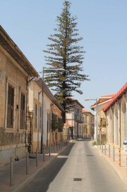 Limasol, Kıbrıs, 24 Nisan 2019: Güneşli bir günde geleneksel Akdeniz tarzı binalar ve uzun bir sedir ağacı ile Eski şehir boş sokak