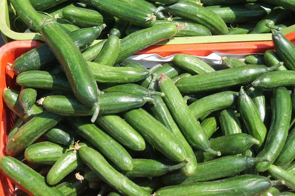 Close Van Een Stapel Rijp Groene Komkommers Een Doos Koop — Stockfoto