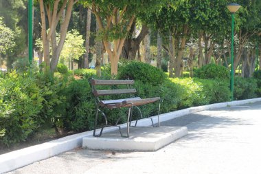 Bir bahar güneşli bir günde halka açık bir parkta boş ahşap bank