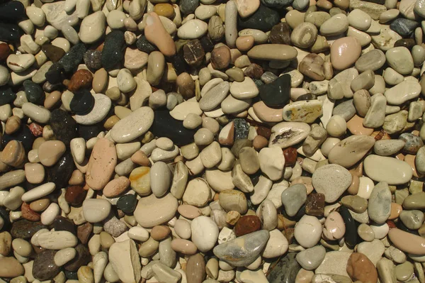 Wet multi colored stones and pebbles at the beach in sunlight
