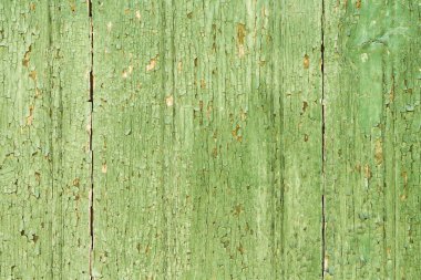 Soluk yeşil boya soyma ile eski yıpranmış ahşap panoları 