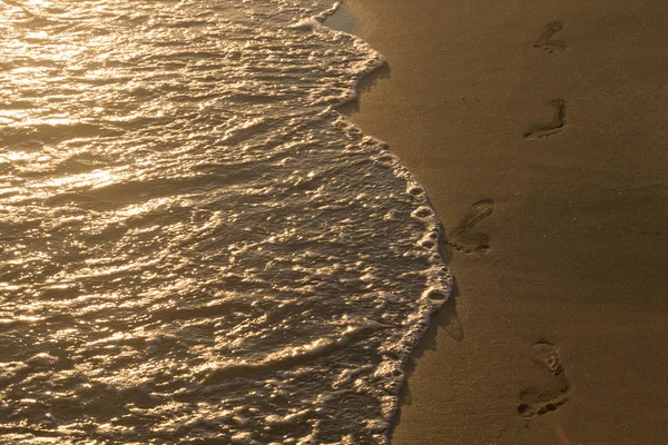 Four footprints on the wet sand close to the sparkling sea wave at the beach in the light of setting sun