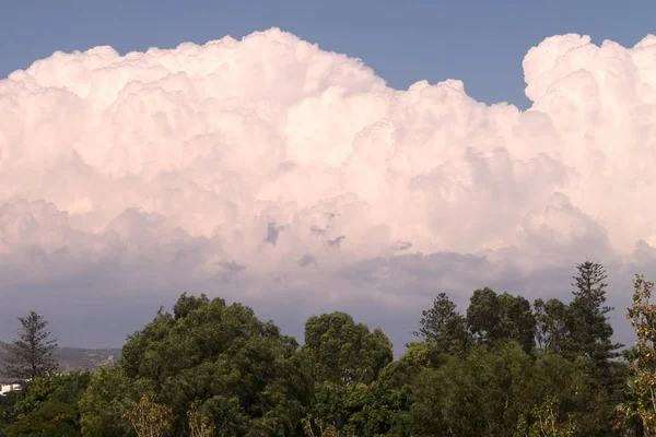 Rosa Und Grau Geschwollene Wolken Blauen Himmel Über Den Bäumen — Stockfoto