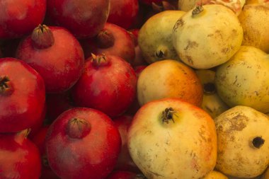 Kıbrıslı çiftçinin pazarında satılacak büyük bir yığın olgun kırmızı ve beyaz nar.