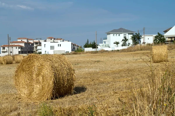 Agricultural Field Straw Bales Front Country Houses Sunny Summer Day — Stock Photo, Image