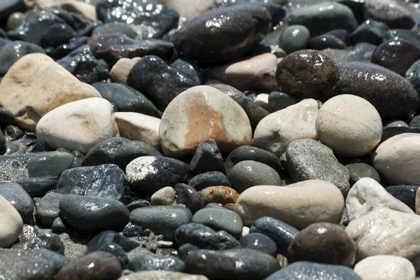 Close Van Natte Stenen Het Strand Bij Zonlicht — Stockfoto