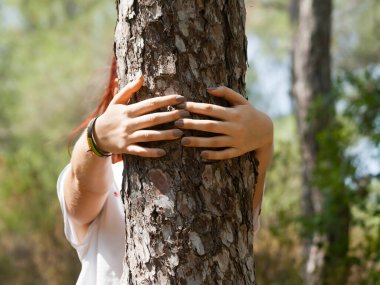 Genç bir kadının elleri güneş ışığında ormanda çam ağacının gövdesinde.