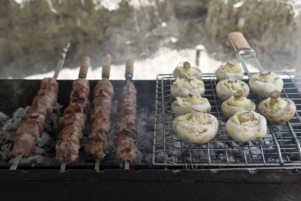 Kömür Izgarasında Mantar Dolması Şişi — Stok fotoğraf