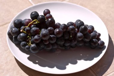 Güneş ışığında, beyaz tabakta olgun koyu üzümler.