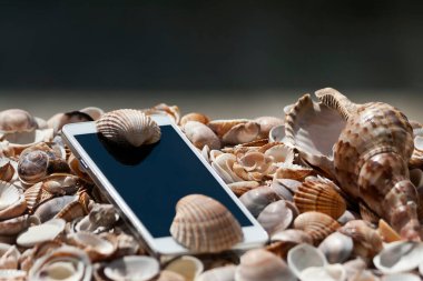 Doğal deniz kabukları olan akıllı telefonlara yakın çekim