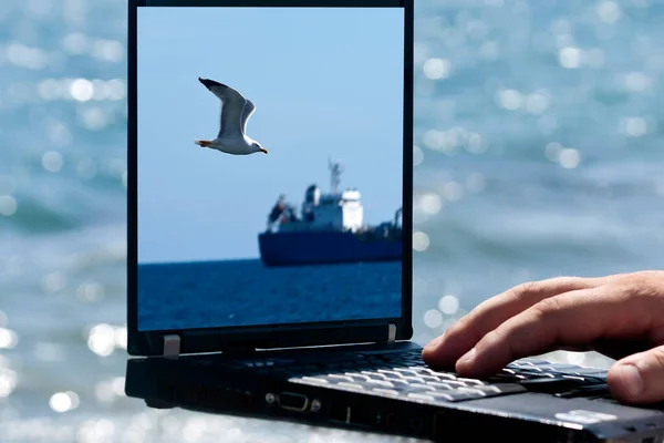 Laptop Obrázkem Létajícího Racka Lodi Monitoru Před Modrým Mořem — Stock fotografie