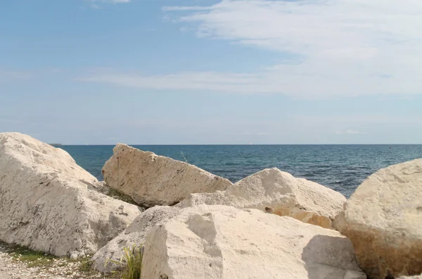 Big White Rocks Yellow Wildflowers And A Tree On Limassol Coastline On A Sunny Winter Day Natural Sea Stock Photo 246759648