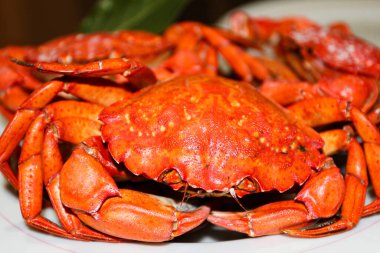 Kaynatılmış kırmızı yengeçler, seçici odak noktaları, deniz ürünleri. 