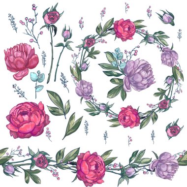 Botanik çizimler, renk sanat illüstrasyon, beyaz arka plan, vektör Pionies şakayık gül illüstrasyon, sepeti gerçekçi peonies; kartı; ayarla; vektör; çizim; stil; desig; küçük; Sanat; izole nesneleri;